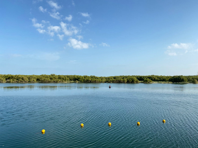 水質(zhì)氨氮 水質(zhì)氨氮