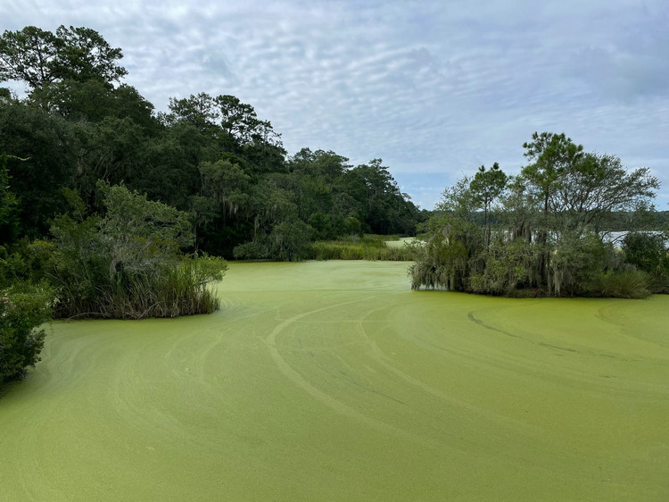生活污水 生活污水
