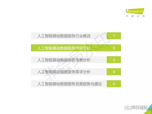 2019年中國(guó)人工智能基礎(chǔ)數(shù)據(jù)服務(wù)白皮書 驅(qū)動(dòng)智能未來的核心基石